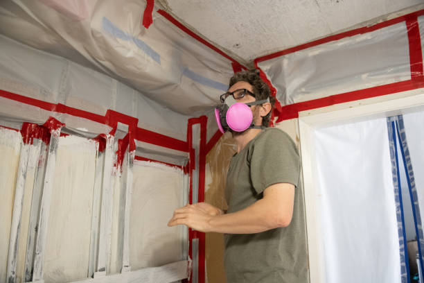 Best Mold-Related Health Consultation  in Dundas, MN