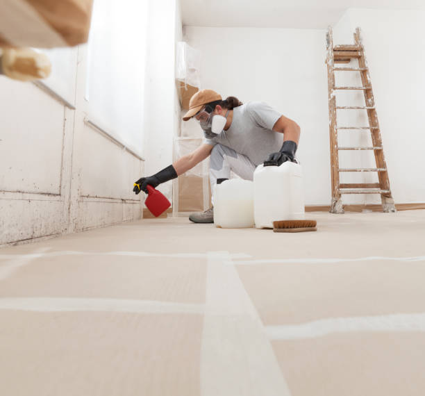 Best Real Estate Mold Inspection  in Dundas, MN